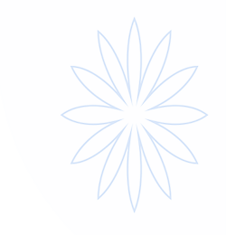 狗万·(中国区)有限公司官网